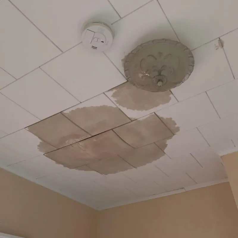 Ceiling Water Damage Repair in Verdigris, OK