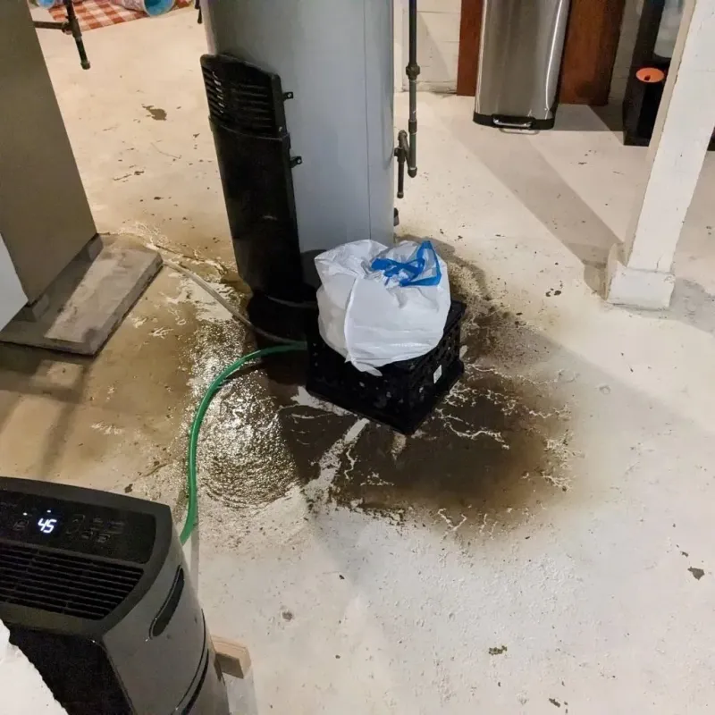 Sewage Backup Cleanup Service in Verdigris, OK